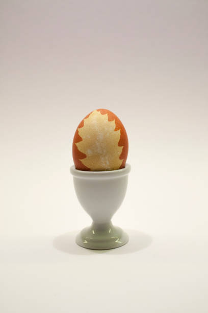 easter_egg_with_leaf_colored_with_onionskin_on_white_across - onionskin photos et images de collection