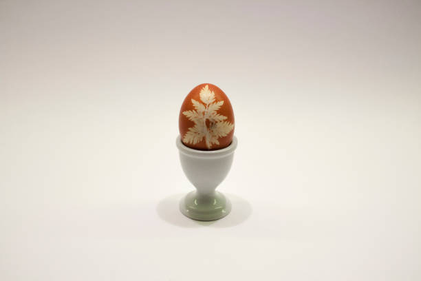 easter_egg_with_wild_geranium_leaf_colored_with_onionskin_on_white_across - onionskin photos et images de collection