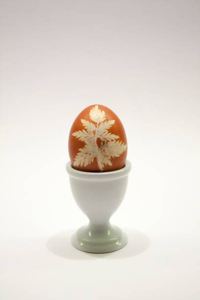 easter_egg_with_wild_geranium_leaf_colored_with_onionskin_on_white - onionskin photos et images de collection