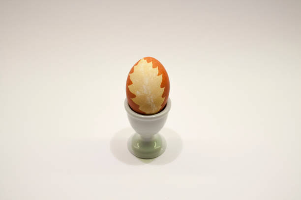 easter_egg_with_leaf_colored_with_onionskin_on_white - onionskin photos et images de collection