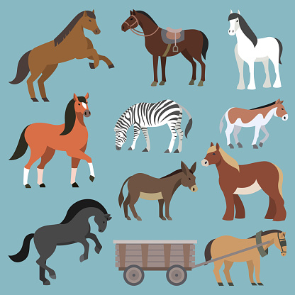 Horse vector animal of horse-breeding or equestrian and horsey or equine stallion illustration animalistic horsy set of pony zebra and donkey character isolated on background.
