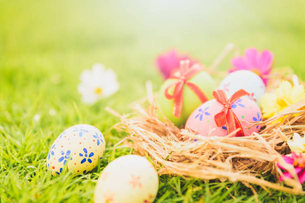 istock Happy easter!  Closeup Colorful Easter eggs in nest on green grass field during sunset background. 939184436