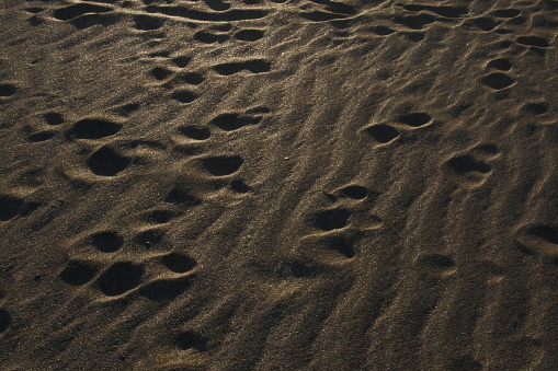 Sand Real Object Objects And Textures In The Sand 2 Stock Photo - Download Image Now ...
