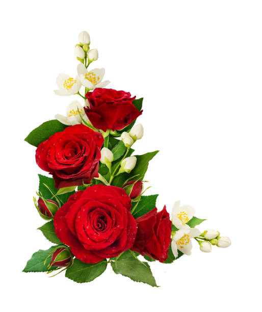 istock Corner composition with red rose flowers and jasmine 939186020