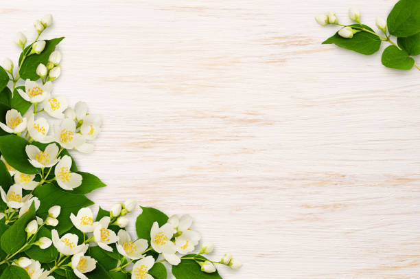istock Corner arrangements with jasmine flowers on wood 939186048