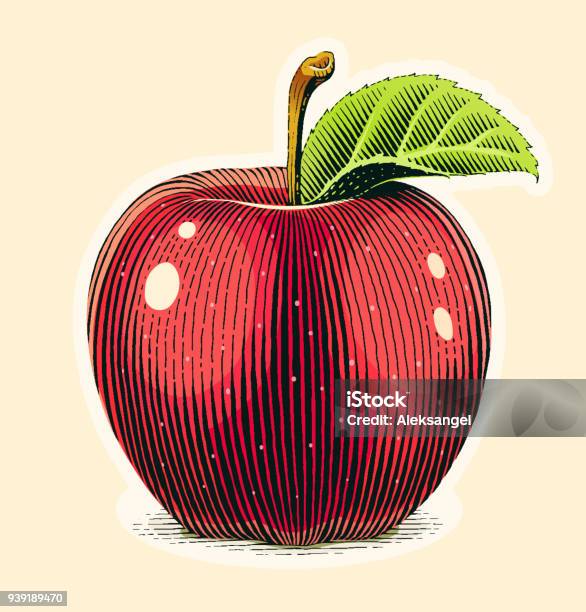 緑の葉とリンゴ果実スクラッチ ボード スタイル - リンゴのベクターアート素材や画像を多数ご用意 - リンゴ, イラストレーション, 古風