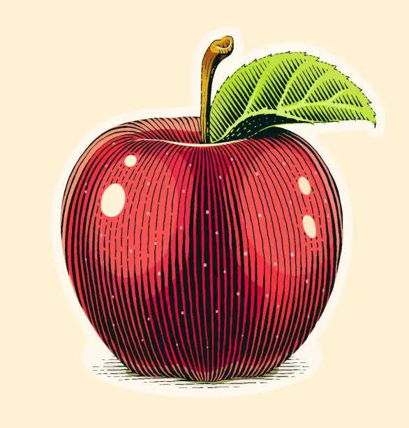 Vector illustration of Apple fruit with green leaf. Scratch board style.