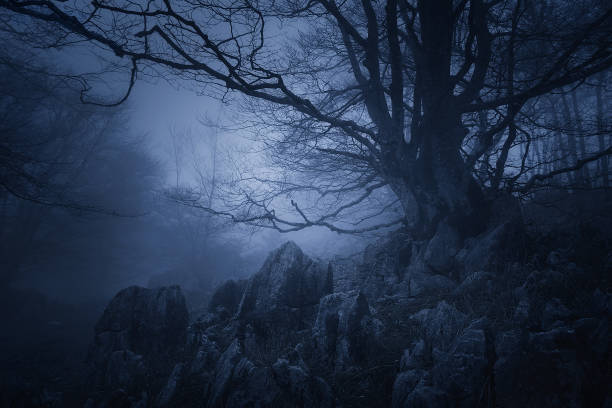 istock horror landscape of dark forest with scary tree 939194480