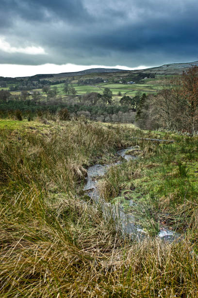 istock Tributary stream running to the South Tyne 939194988
