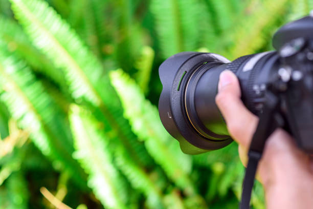 istock Hand holding camera taking photographs in garden 939198022