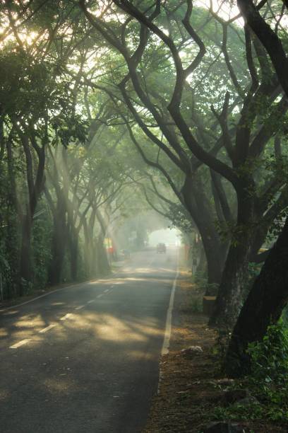 istock Open roads of kerala 939198974