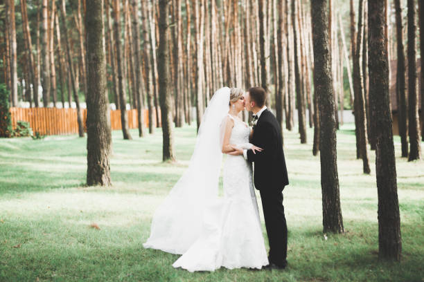 istock Happy wedding couple walking in a botanical park 939205362