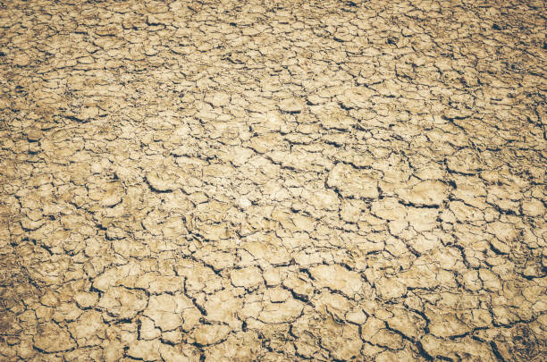 istock Dry cracked earth background, clay desert texture 939205460