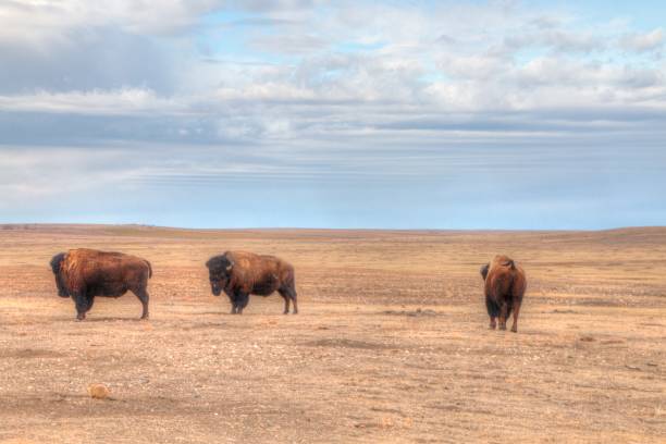 istock Badlands National Park, South Dakota 939205888