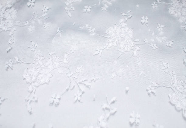 istock background beautiful white lace flowers 939208978
