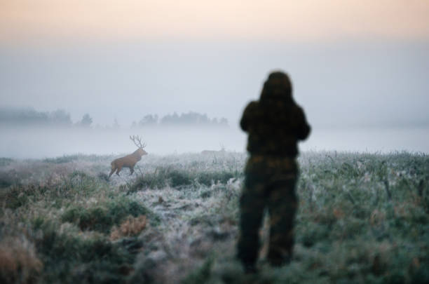 Hunter holding a rifle and aiming red deer, hunter photoshooting.