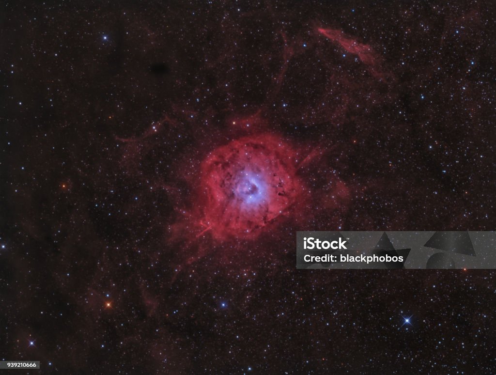 SH2-170, the Little Rosette Nebula The Small Rosette Nebula (Sharpless 170) is located in the Perseus arm of our galaxy, about 7,500 light years away from Earth. In its center is a small, young cluster of stars, Stock 18. The bright star in the center of the nebula ionizes the surrounding hydrogen gas and causes the nebula to glow. The nebula has about 2/3 of the diameter of the full moon. Alien Stock Photo