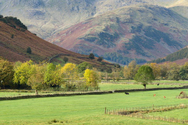 istock Langdale valley in the Lake District, UK 939211036