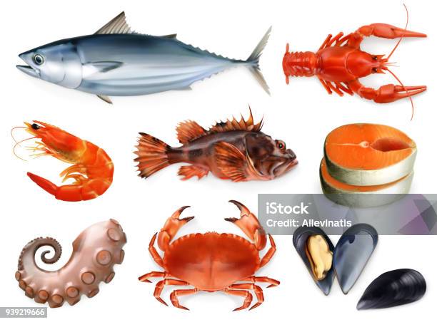 Fish Crayfish Mussels Octopus 3d Vector Icon Set Sea Food Realism Style Stock Illustration - Download Image Now