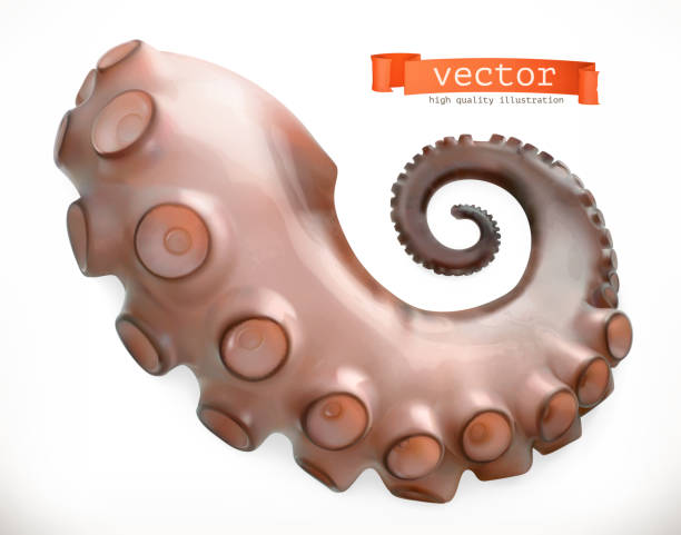 Octopus tentacle. 3d vector icon. Sea food realism style Octopus tentacle. 3d vector icon. Sea food realism style tentacle stock illustrations