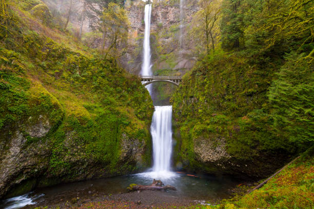 istock Multnomah Falls by Benson Bridge at Columbia River Gorge Oregon in Spring Season 939220290