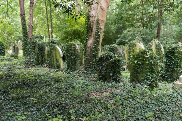 highgate cemetery - highgate cemetery stock-fotos und bilder