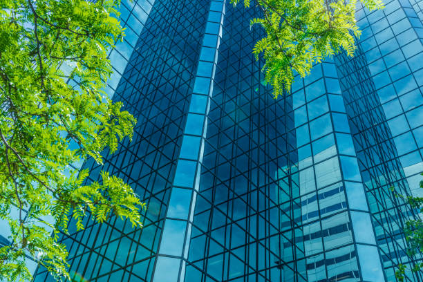 istock Green vegetation vs glass corporate architecture 939231724