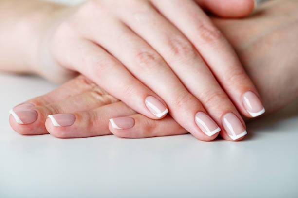 French manicured hand stock photo