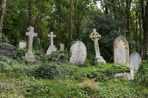 하이게이트 묘지 - highgate cemetery 뉴스 사진 이미지