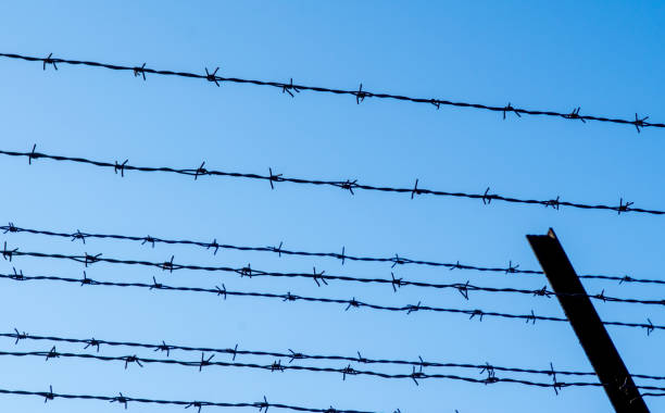 istock Low Angle View Of Barbed Wire Against Clear Blue Sky 939235710