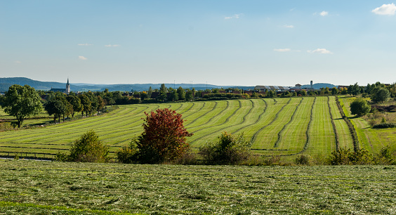 Meadows with mowed grass near Medebach in Hochsauerland, Germany