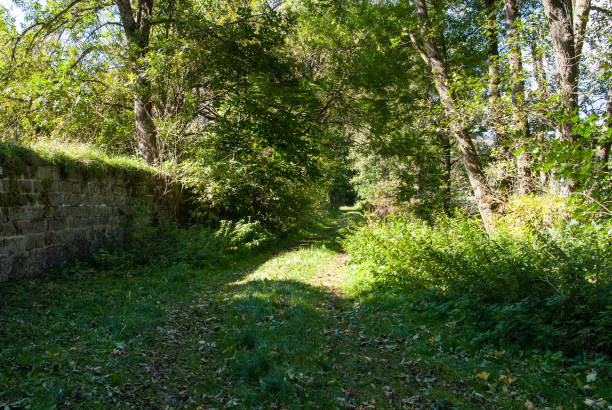 istock Trail along the monastery wall in Glindfeld 939244050