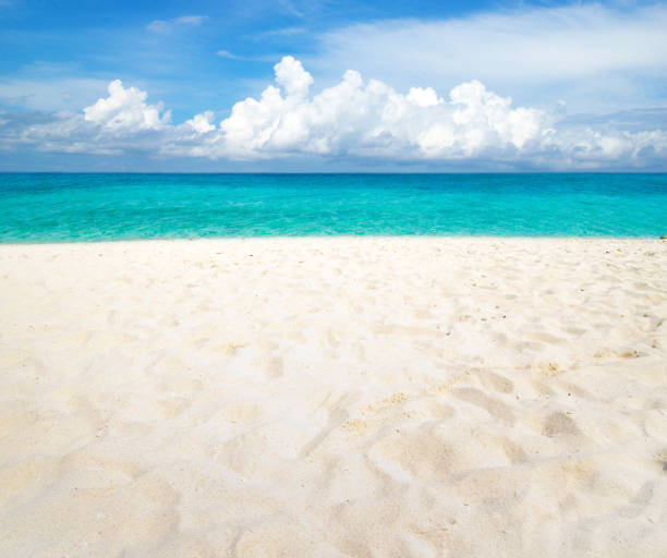 istock beach and tropical sea 939244182