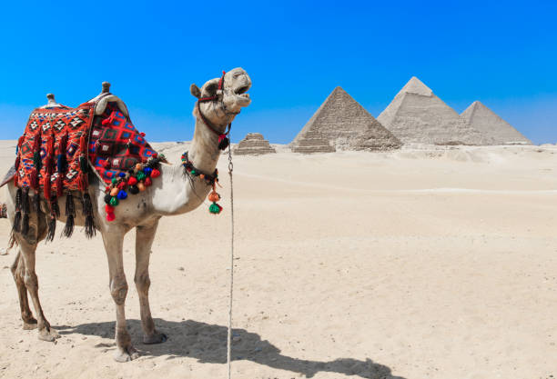 istock pyramids with a Giza in Cairo, Egypt. 939251986