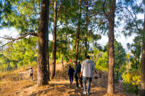 People hiking in the woods near dehradun india stock photo