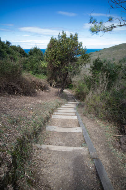 istock hiking on coastal wooden footpath going downwards 939254902