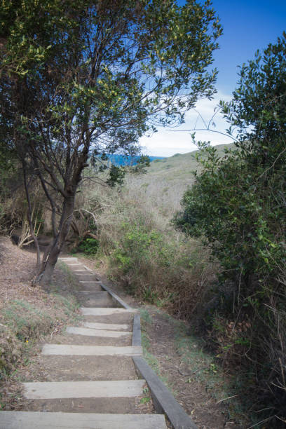 istock hiking on coastal wooden footpath going downwards 939254906