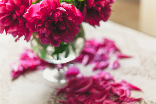 istock red peonies in glass vase stand on table 939263106