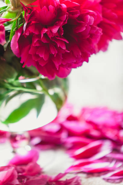 istock red peonies in glass vase stand on table 939268628