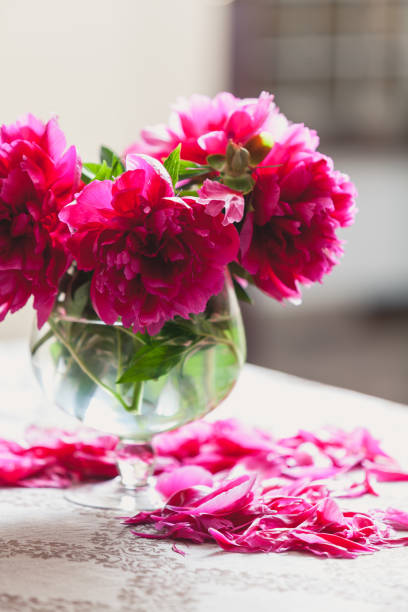 istock red peonies in glass vase stand on table 939269224