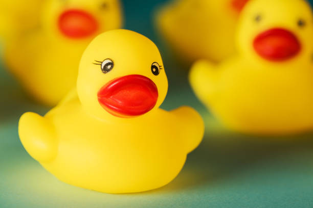 istock Group of yellow rubber duck toys 939269624