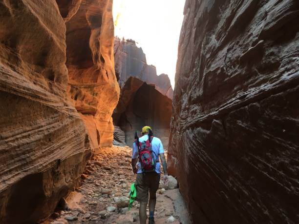 istock My husband leading the pack through the canyon 939269702