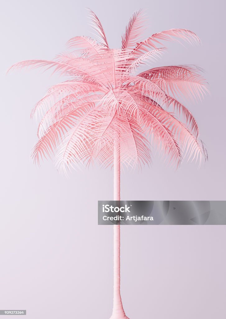 Ungewöhnliche Pastell rosa Palm - Lizenzfrei Palme Stock-Foto