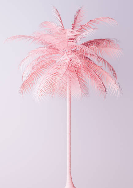Unusual Pastel Pink Palm