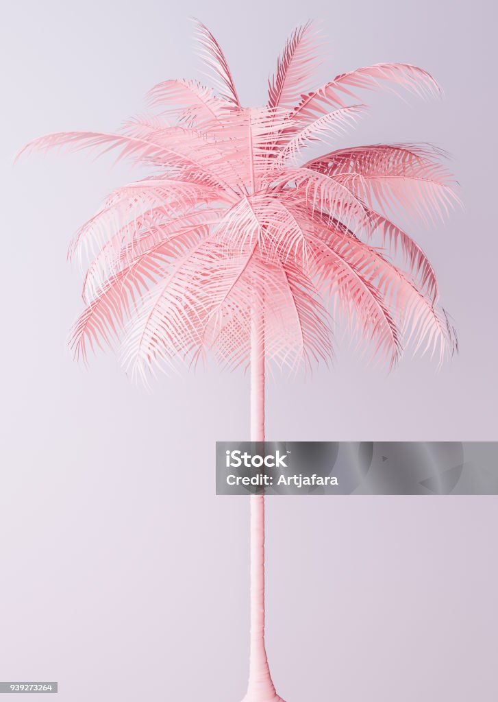 Unusual Pastel Pink Palm Unusual Pastel Pink Palm 3d illustration Palm Tree Stock Photo