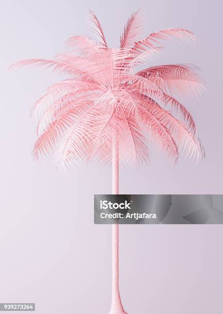 Unusual Pastel Pink Palm Stock Photo - Download Image Now - Palm Tree, Pink Color, Three Dimensional