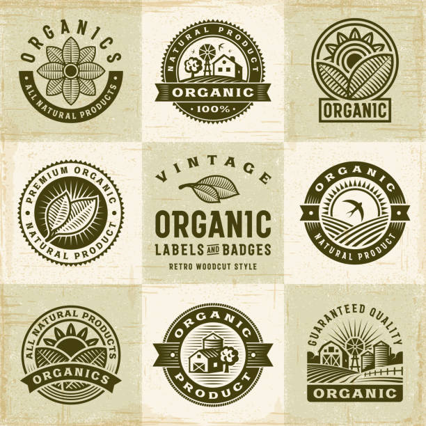 illustrations, cliparts, dessins animés et icônes de vintage labels biologiques et set de badges - gravure sur bois