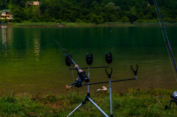 istock Fishing rod on the coast 939288178
