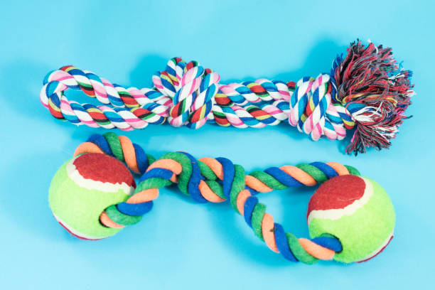 istock Rope and balls for dog on blue background. 939294674