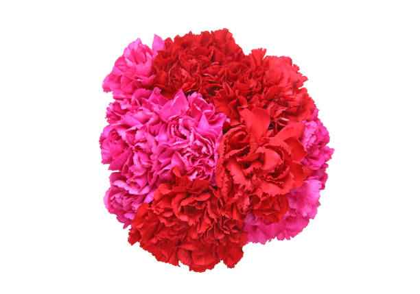 istock Bouquet of carnation 939304374